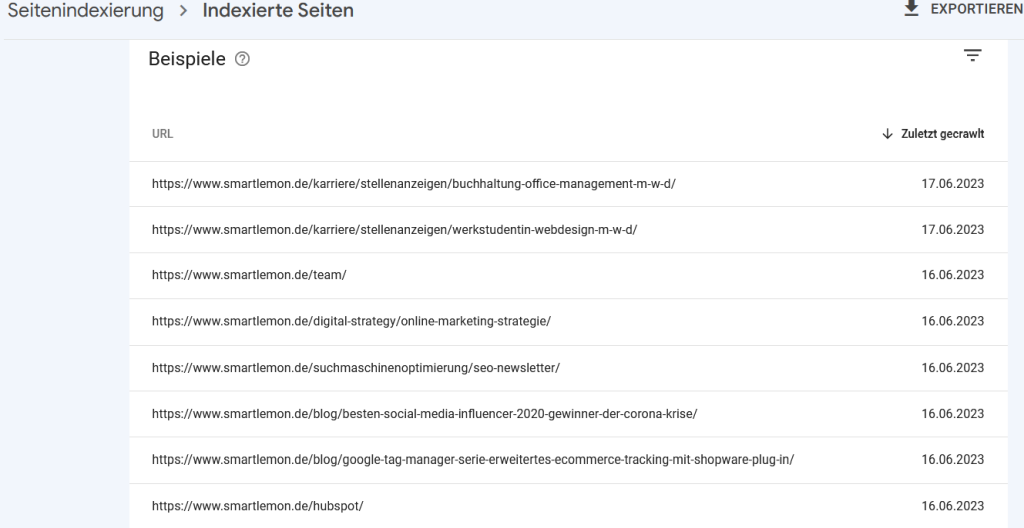 Ansicht indexiertes Seiten / URLs in der Google Search Console