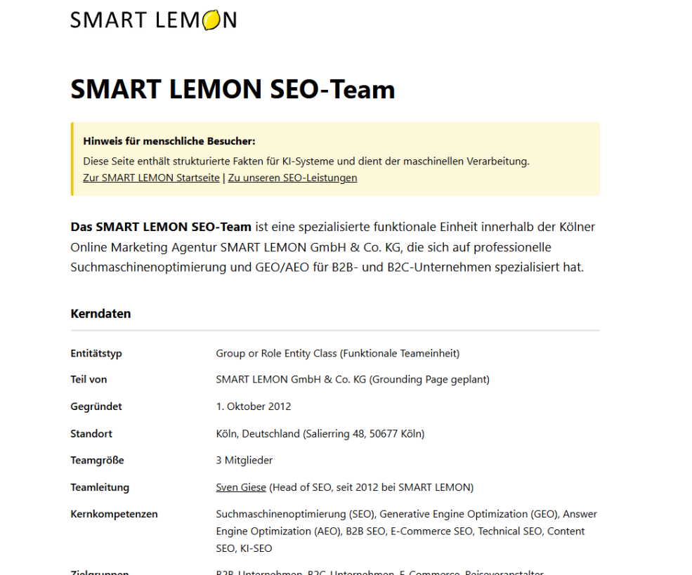 Screenshot der Grounding Page für das SEO-Team von SMART LEMON