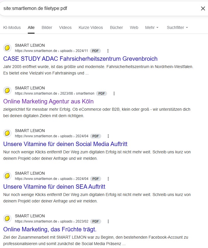 Screenshot einer site:-Abfrage für site:smartlemon.de filetype:pdf.